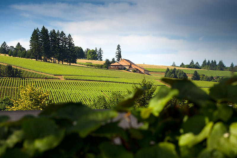 Oregon Wineries with Electric Vehicle Charging Domain Drouhin