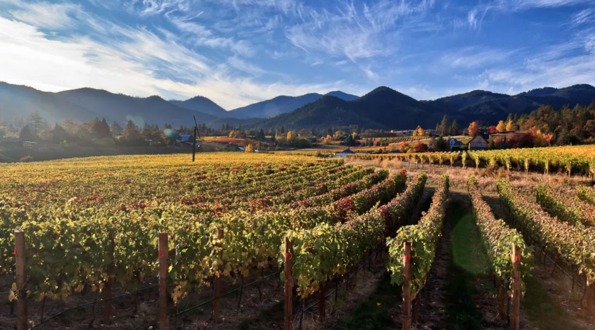 WineryHunt Oregon Discover The Best of Oregon Wine Country