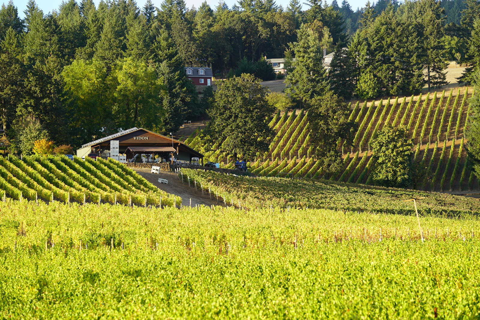 newberg-countryside-wineries-wineryhunt-oregon