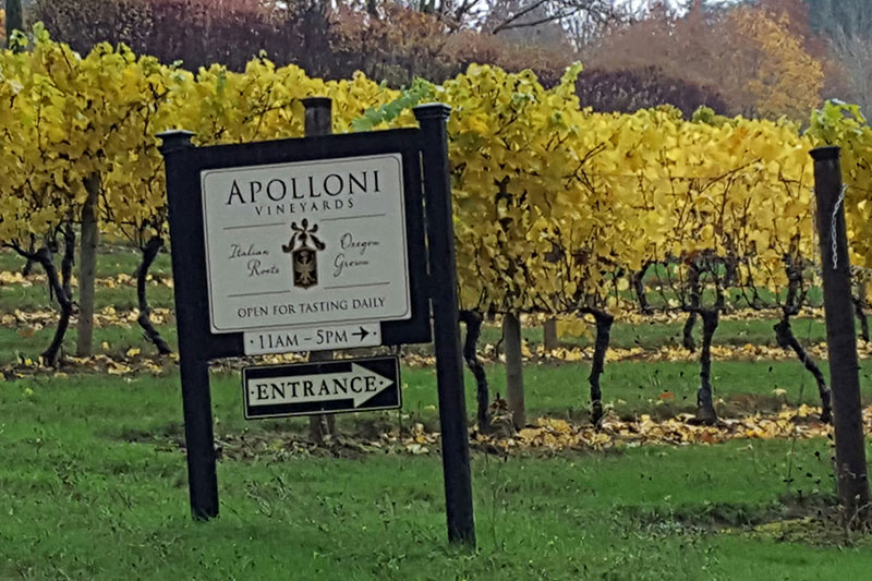 Apolloni Vineyards