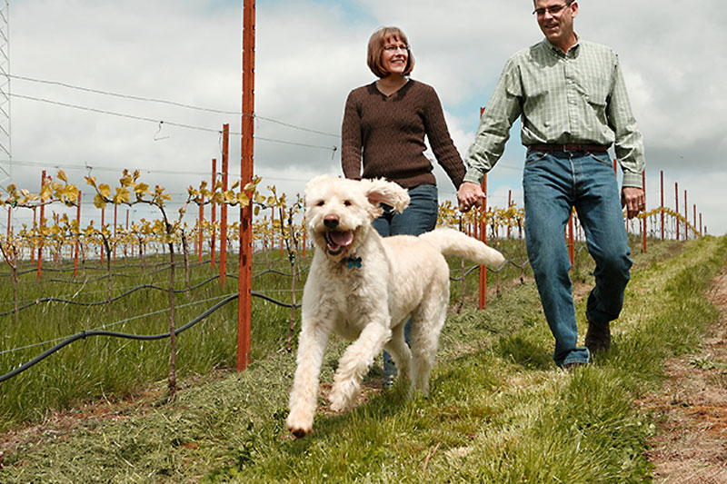 Dog Friendly Oregon Wineries WineryHunt Oregon