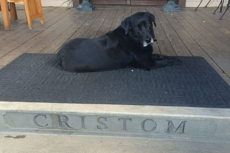 Best dog friendly wineries Cristom