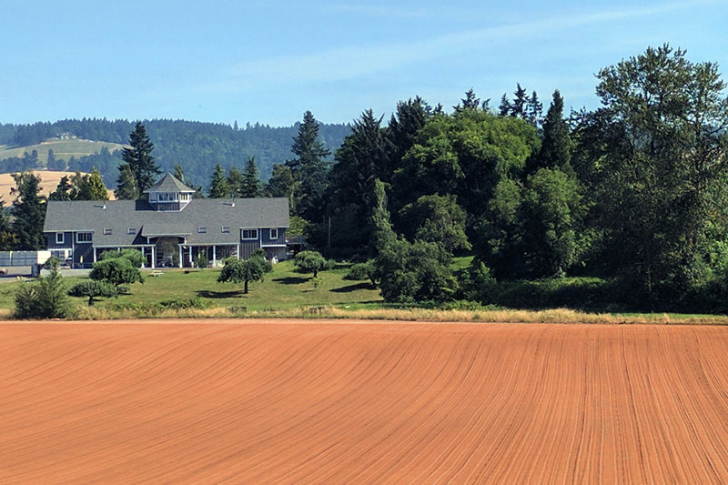 Lady Hill Winery, Oregon wines