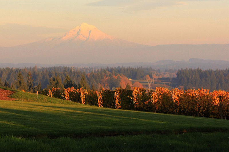 Petes Mountain Winery, Oregon wines