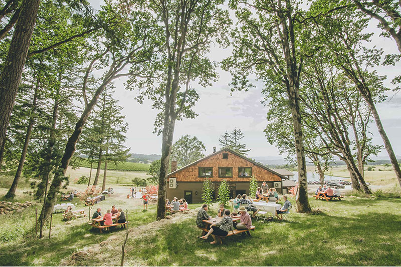 Solena, a biodynamic vineyard