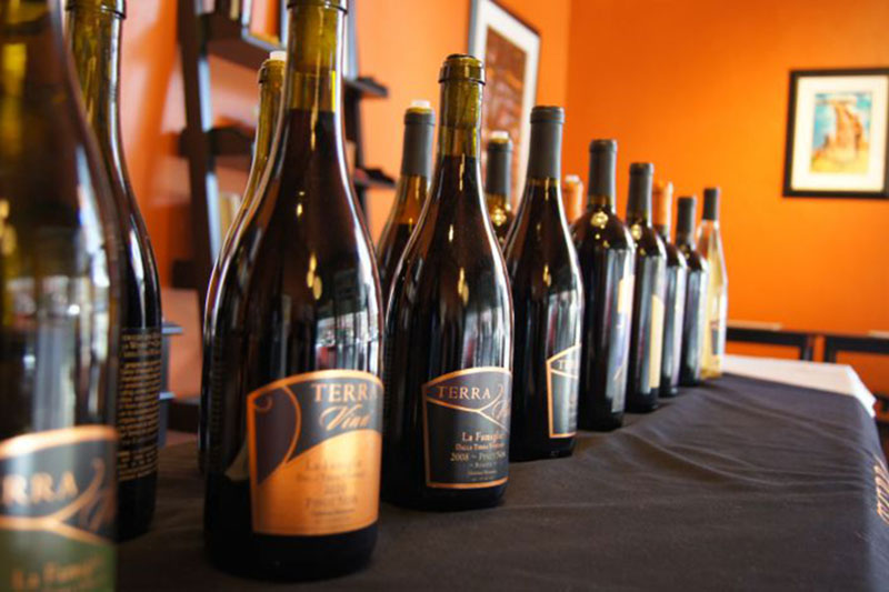 Oregon big red wines, Terra Vina