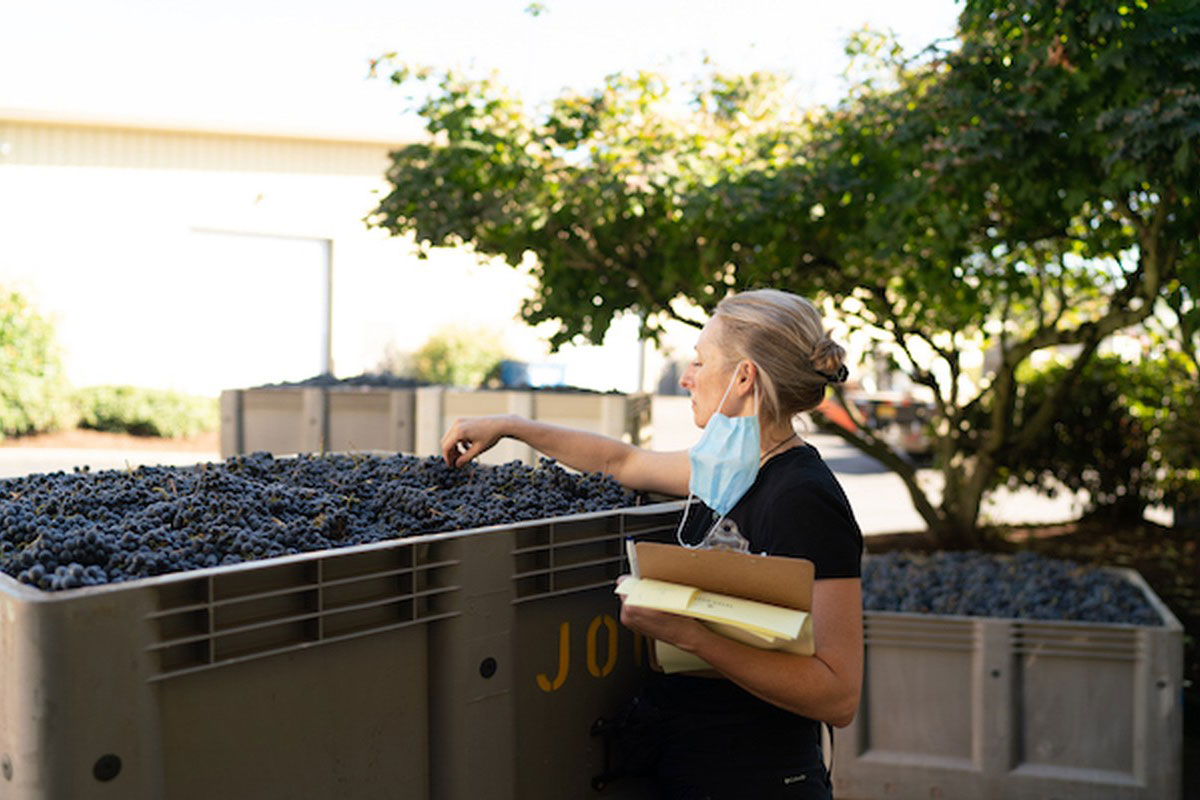 New Oregon wineries, Willful Wines