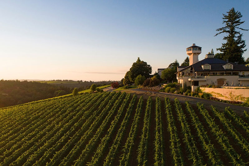 Willamette Valley Vineyards