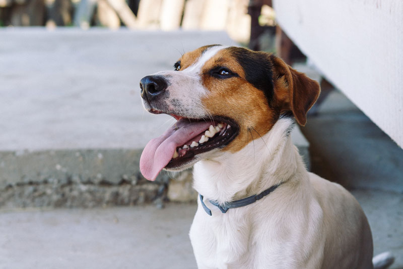 Best wine tasting subscription program in Washington