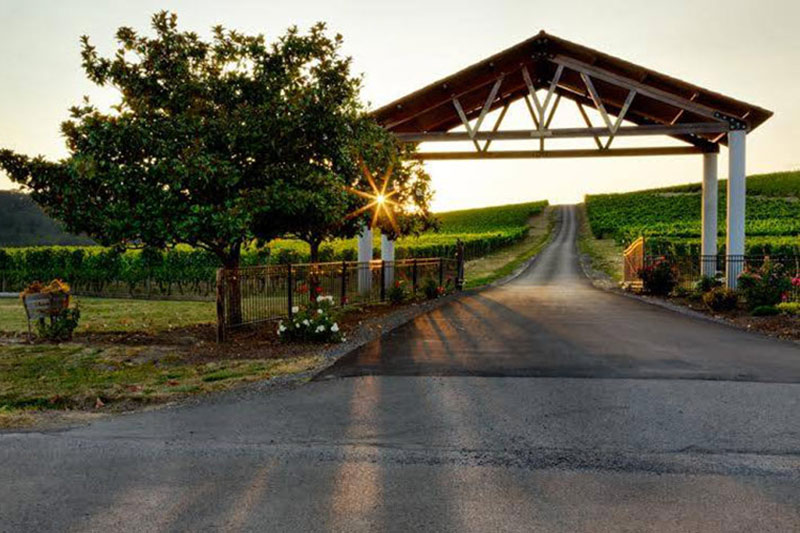 Yamhill Valley Vineyards