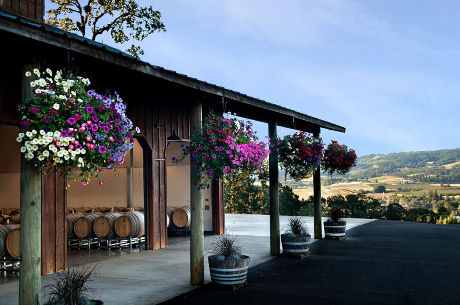 Anderson Family Vineyard in Dundee, Oregon