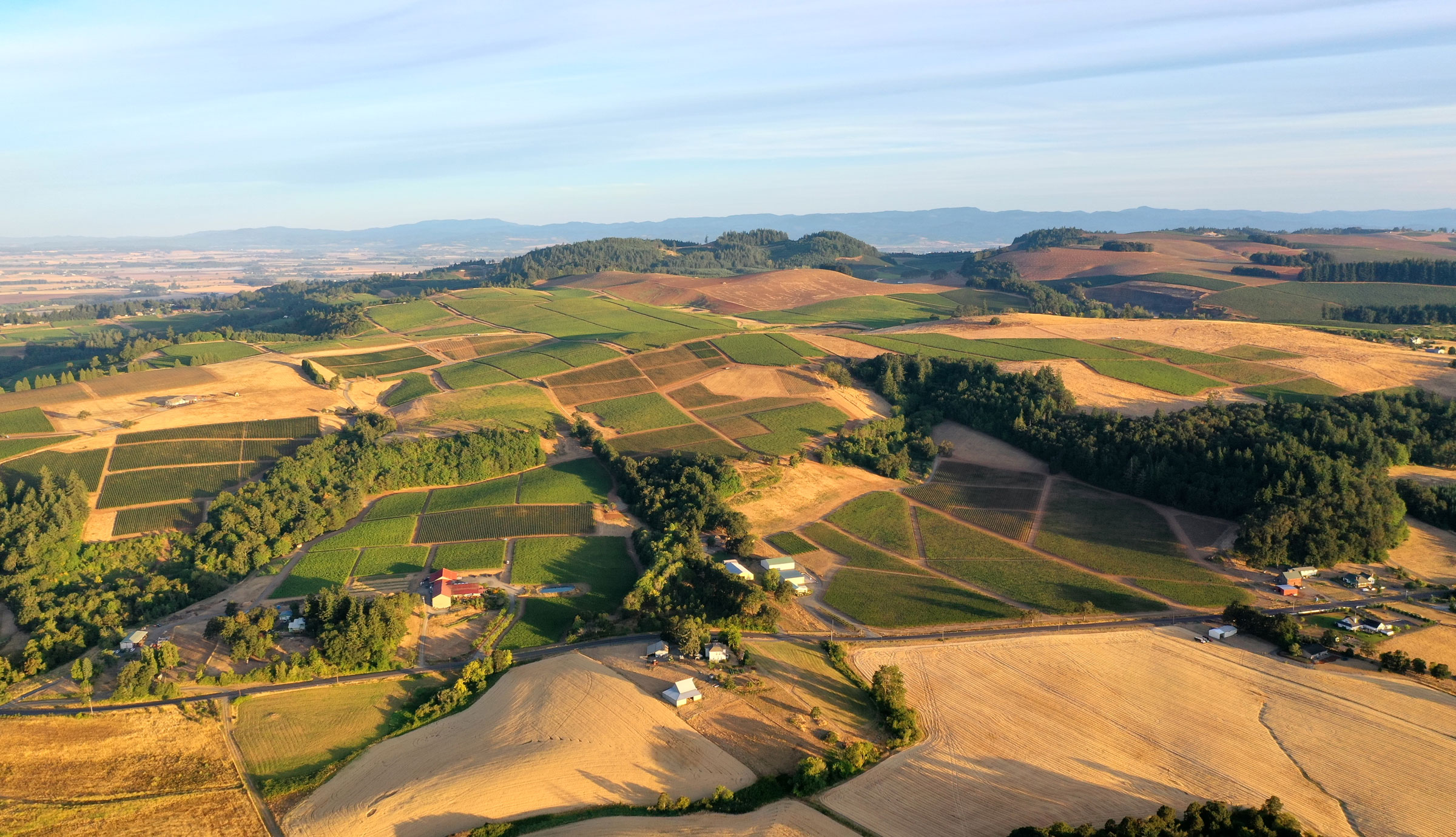 Best Eola-Amity Hills Wineries | WineryHunt Oregon