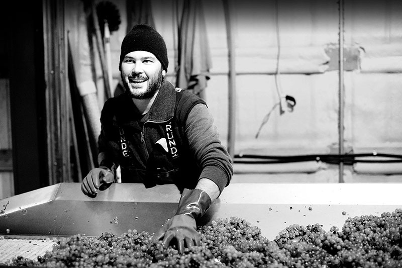 Winemaker of Holloran Vineyard Wines