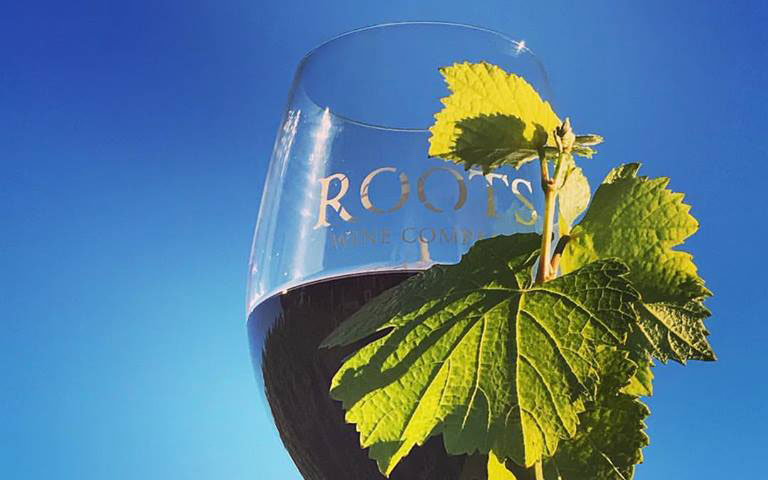 Roots Wine Company Pinot Noir