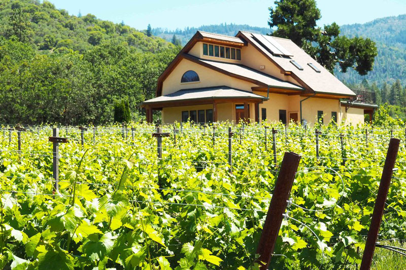 Troon biodynamic vineyards in Southern Oregon