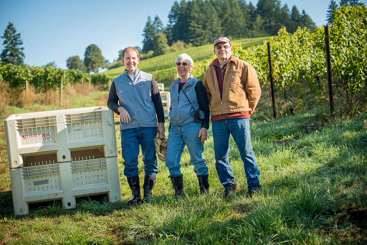 Winters Hill winery at harvest