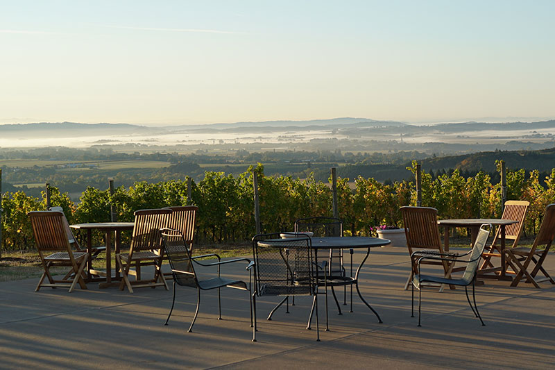 Beautiful views of the Willamette Valley