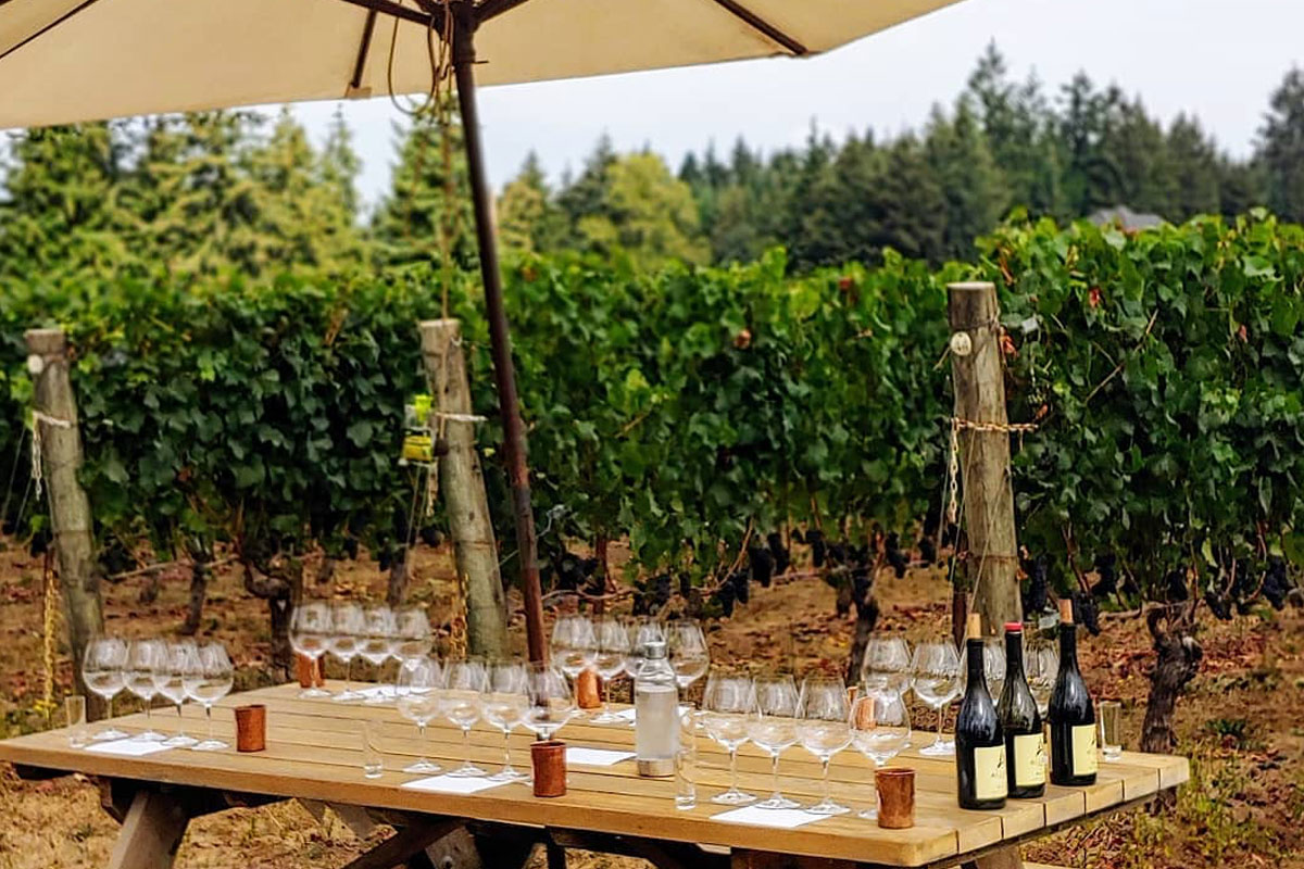 Wine tasting at Alloro Vineyard