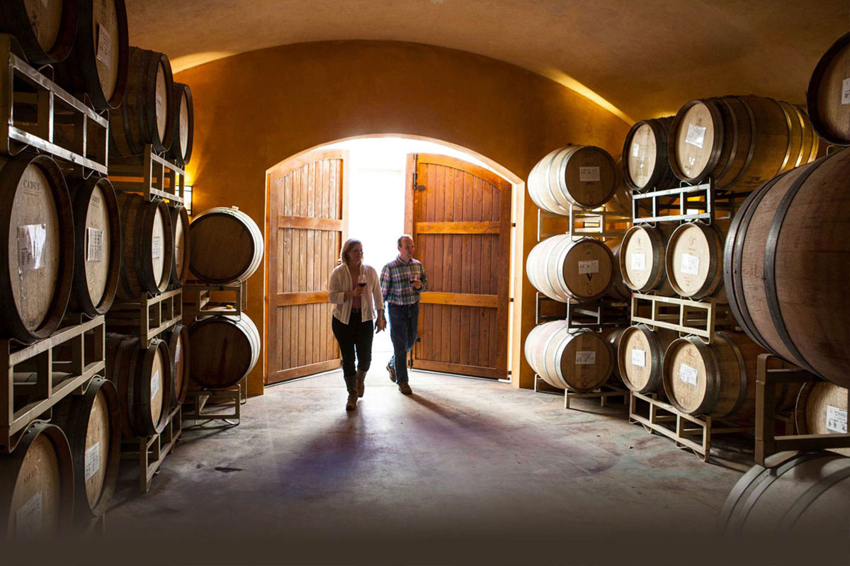 Taste wines in the cellars at Apolloni Vineyards