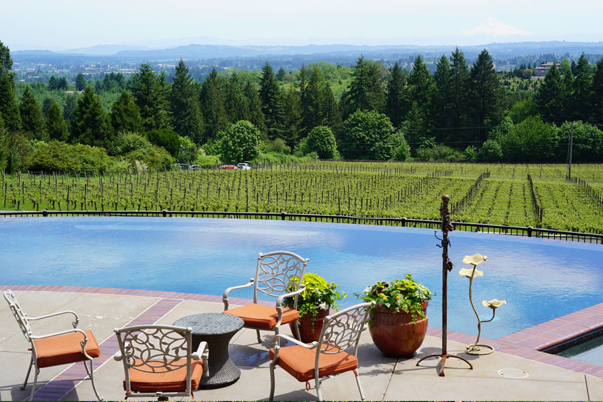 Pool with vineyard views at Blakeslee Vineyard Estate