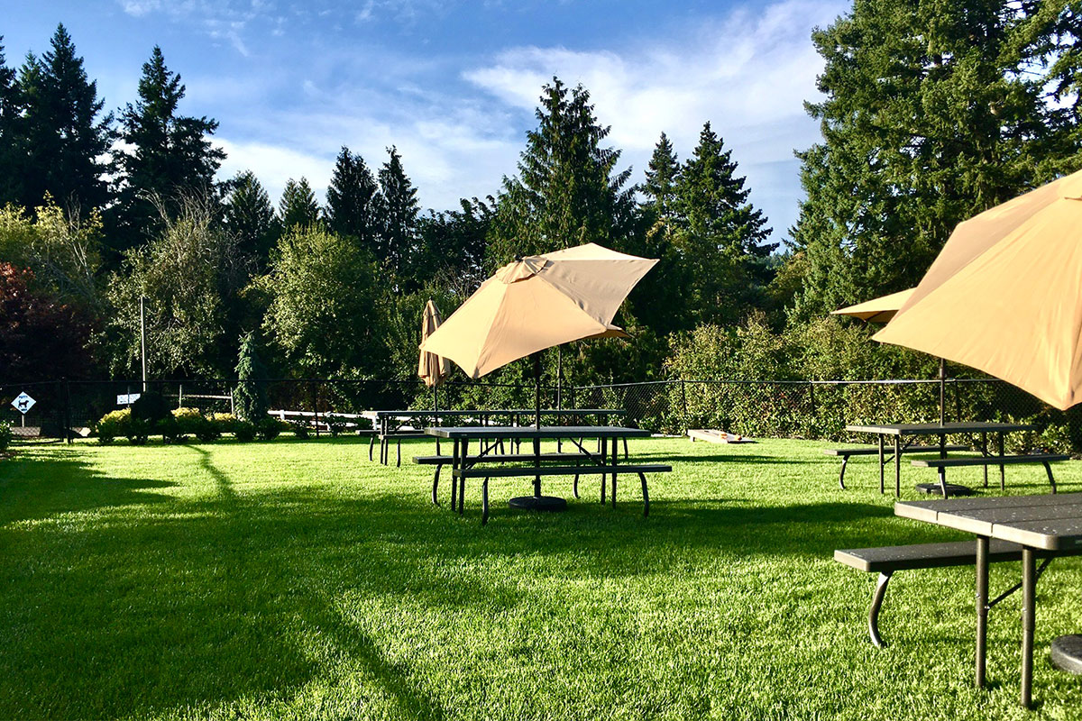 Outdoor tasting at Hawks View Winery