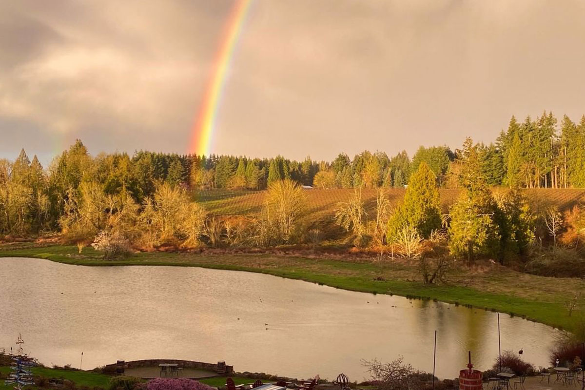 Pond at St Josef's Winery