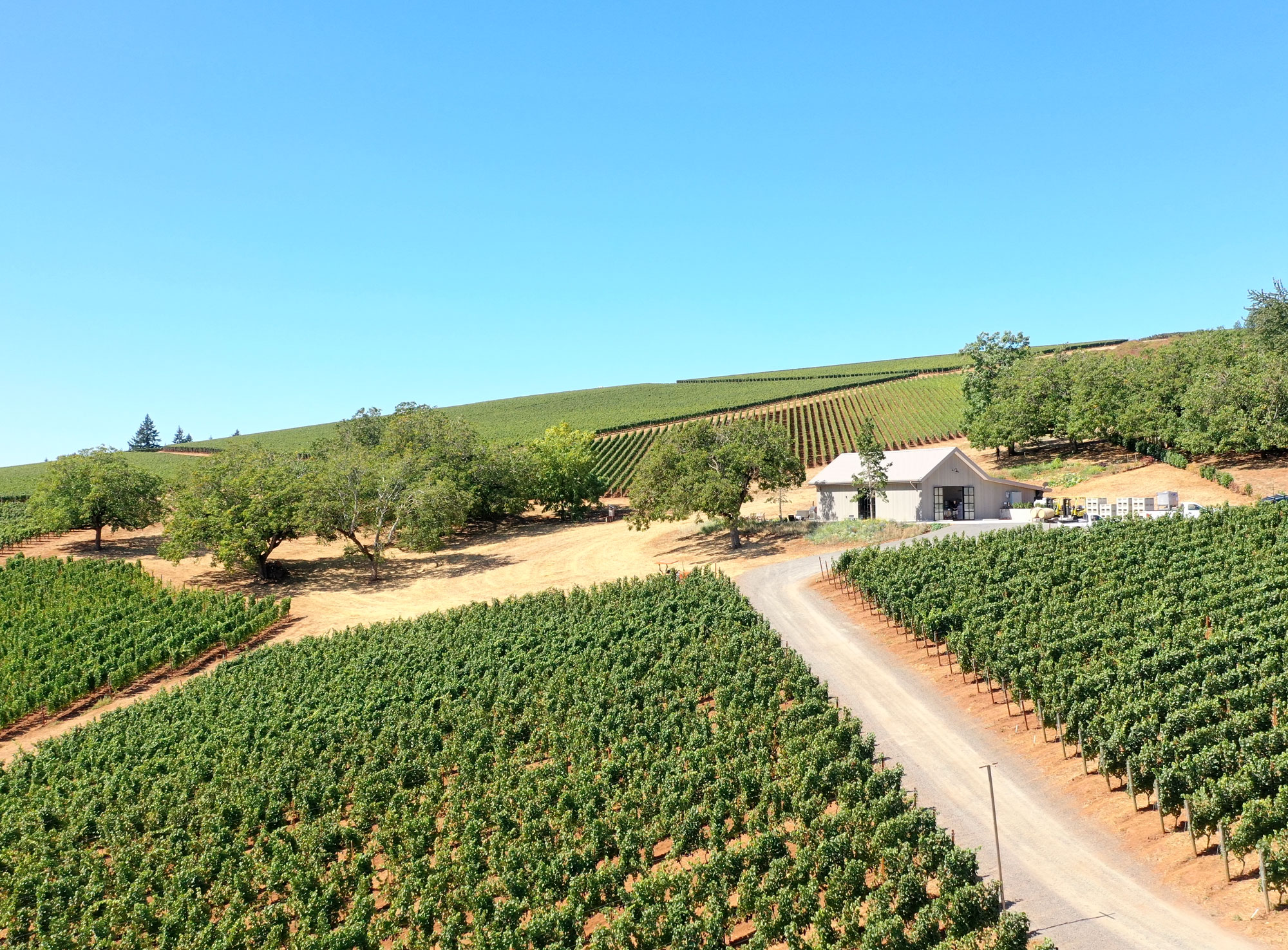 Best Wineries Dundee Hills South WineryHunt Oregon