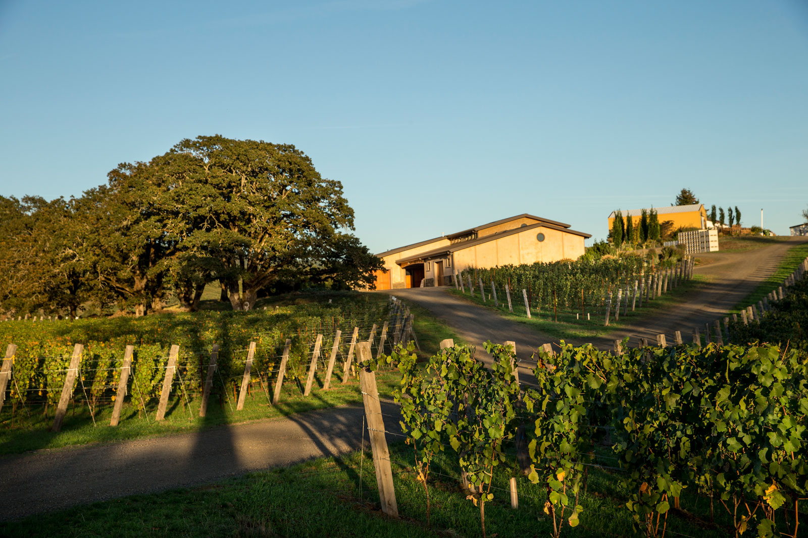 Exterior view of J Christopher winery and vineyards