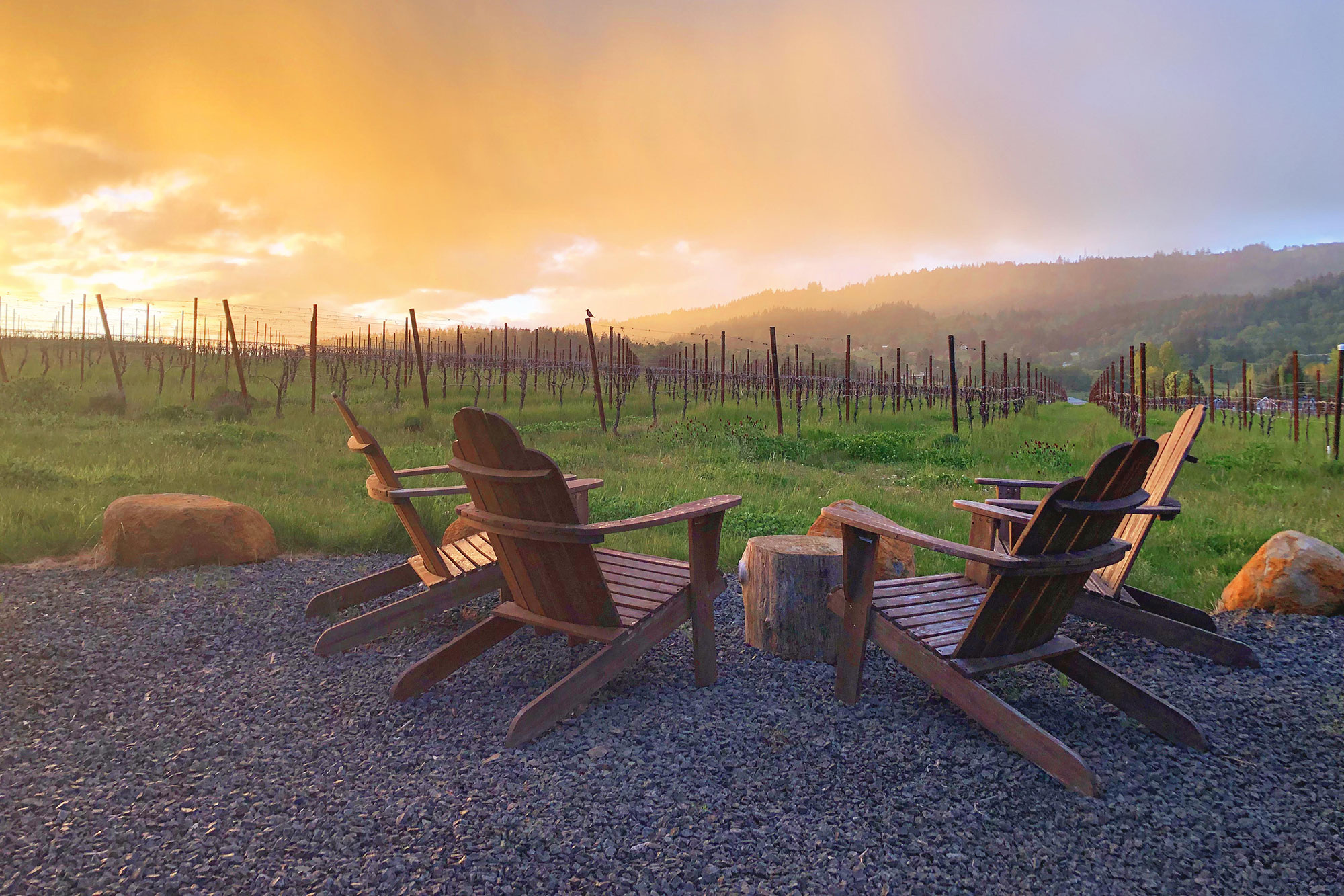 Outdoor seating at Bellingar vineyards