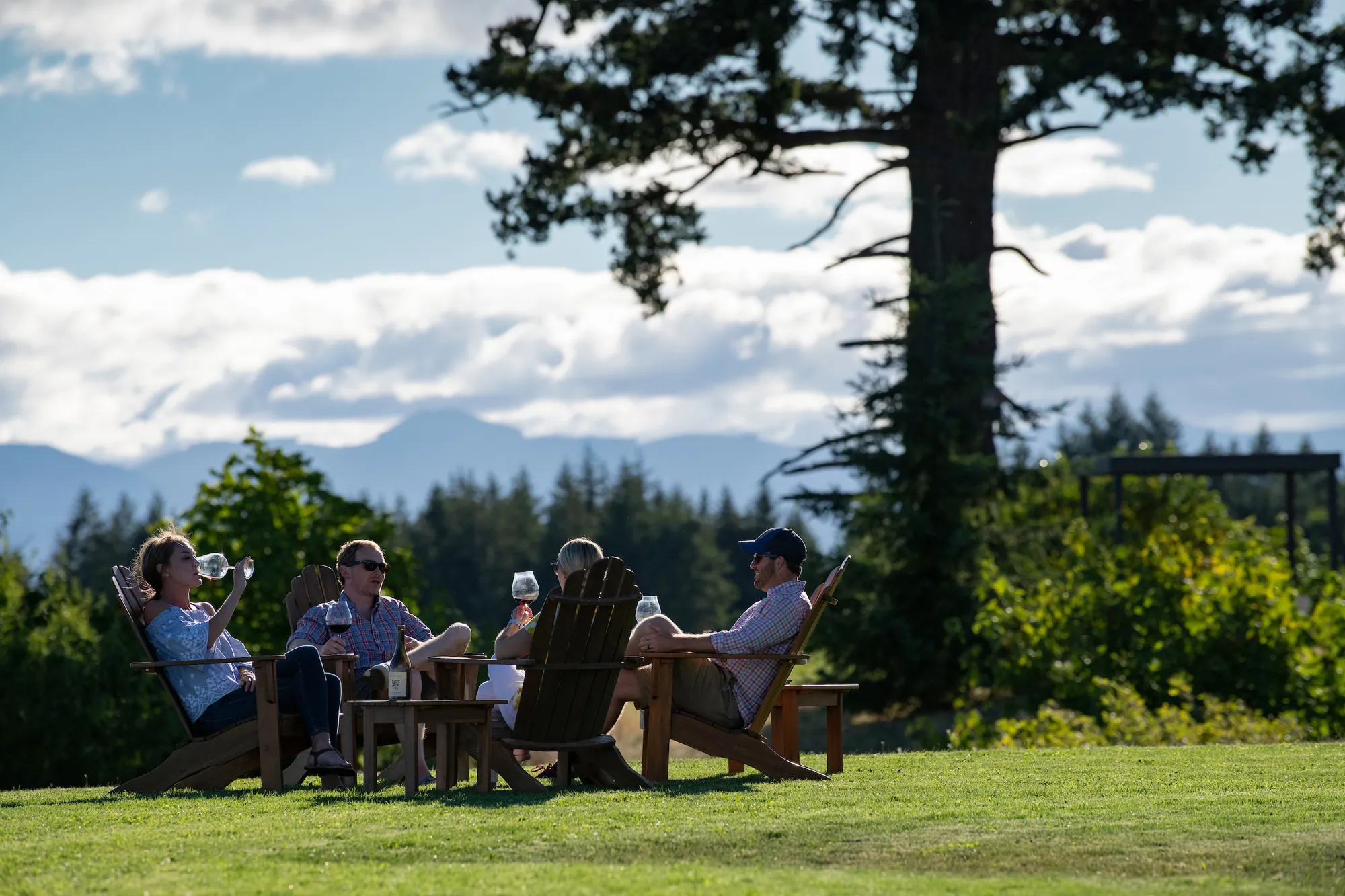 Group of people tasting wine at Fairsing