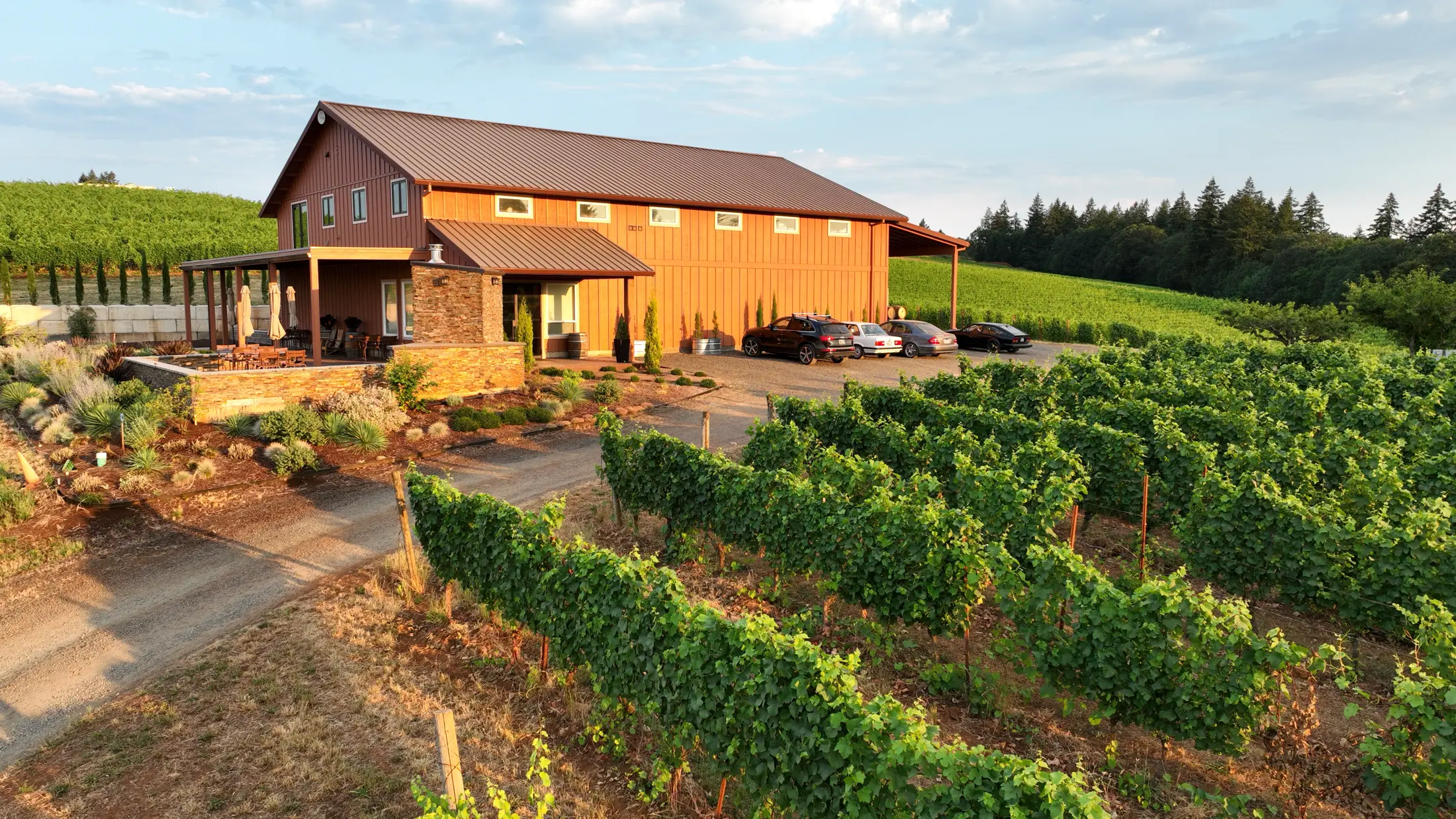 Nysa Vineyard in Dundee Hills South