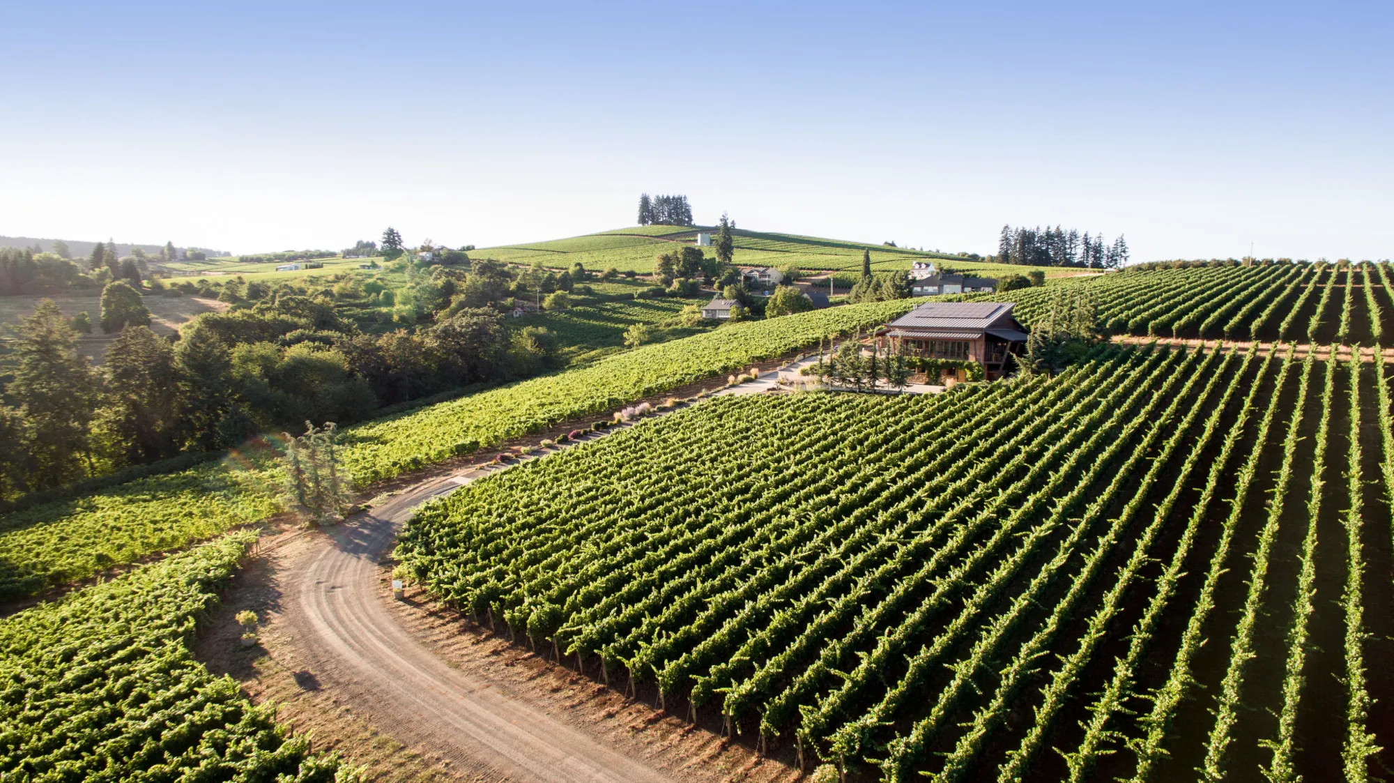 Dusky Goose Vineyard and tasting room